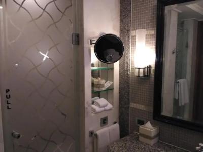 Itc Rajputana, a Luxury Collection, Jaipur - 63