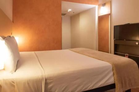 ibis Sao Paulo Barra Funda - 69