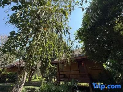Baan Krating - Sha Plus - 87