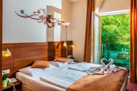 Patak Park - Adults Only - 26