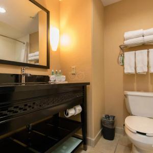Comfort Inn & Suites Dallas Medical-Market Center - 23