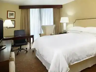 Sheraton Houston Brookhollow - 50