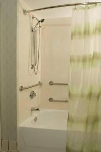 SpringHill Suites by Marriott Orlando Convention Center - 44