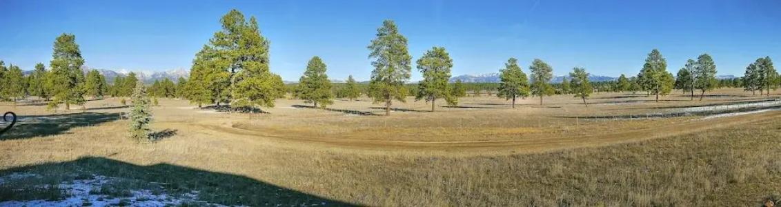 Elktrace - 88