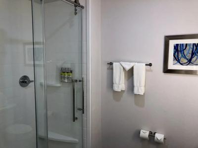 Holiday Inn Express & Suites - Houston Westchase - Westheimer, an IHG - 6