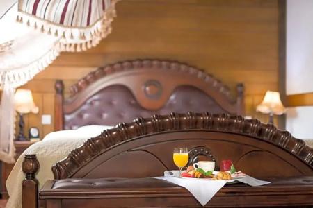 Zámek Lužec Spa & Wellness Resort - 13