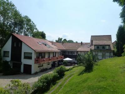 Pension Gelpkes Mühle - 3