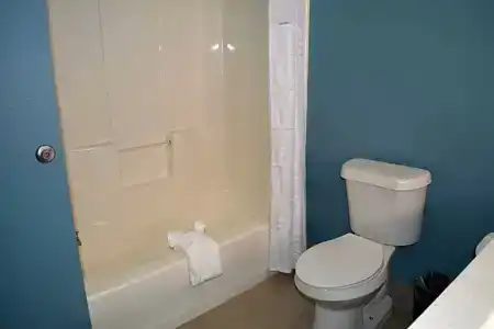 Microtel Inn & Suites by Wyndham College Station - 74