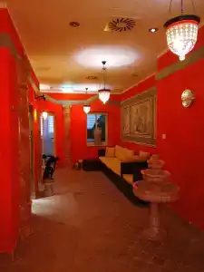 Alexa - 12