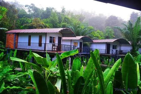 Khaosok River Camp - 49
