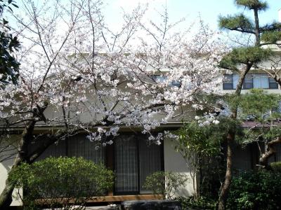 Hagoromo - 22