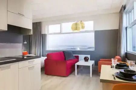 Icelandic - 37