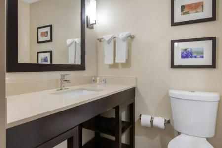 Comfort Suites - South Austin - 43