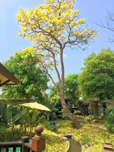 Oriental Siam Resort - Sha Extra Plus Certified - 78