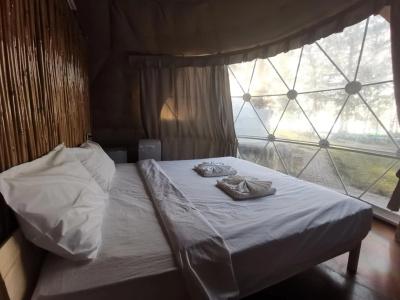 Eco Lanta Hideaway Beach Resort - 0