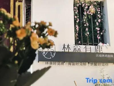 Yonsamity Chain Inn Yunqing Branch - 44