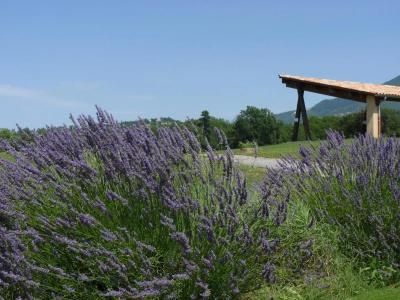 Golf De Digne Les Bains - 19