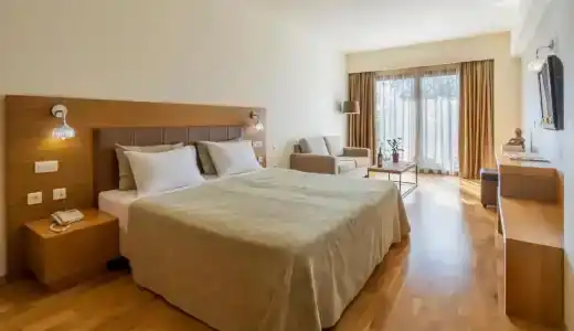 Domotel Anemolia Mountain Resort - 72