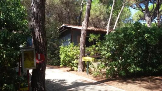 Camping Village Il Sole - 57