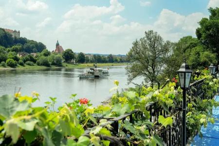 Elbparadies - 36