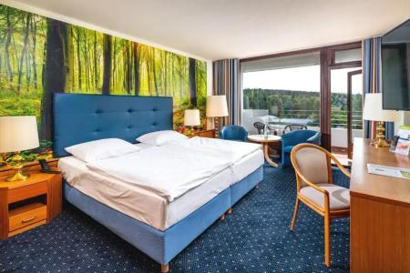 Ahorn Harz Braunlage - 20