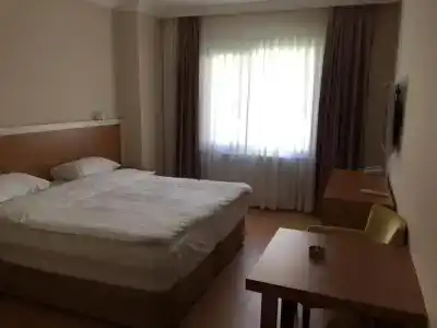 Emsa Palace - 34