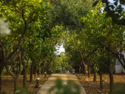 Masseria Il Melograno - 26
