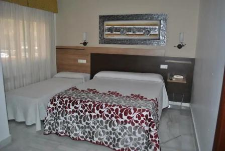 Albero - 26
