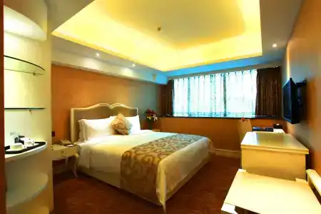 Shenzhen Yijia International - 3