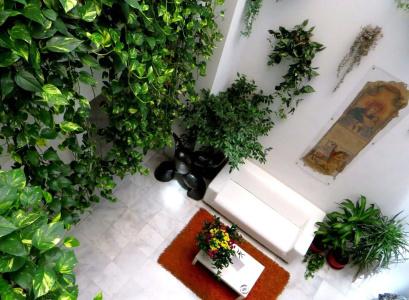 Un Patio al Sur - 28