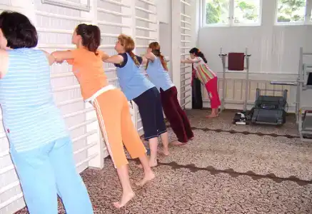 Голубые ели - 14