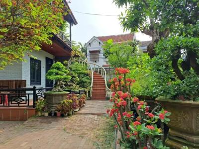 Betel Garden - 94