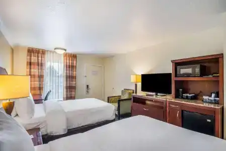 Clarion Inn & Suites Central Beach - 3