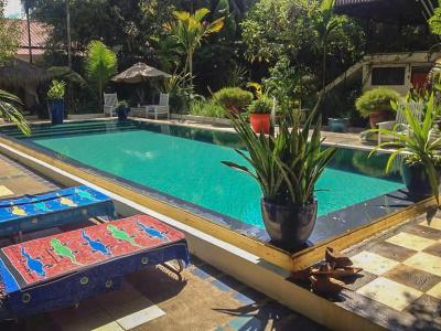 The Cockatoo Nature Resort & Spa - 18