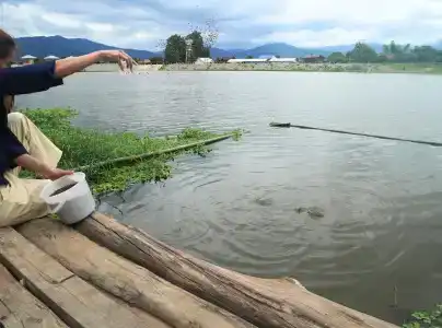Doi Inthanon Riverside - 22