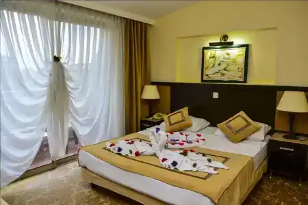 ELAMIR MAGIC DREAM - 2