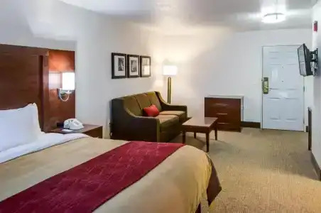 Comfort Inn - 33