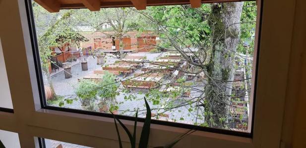 -Restaurant Fröhlich - 5