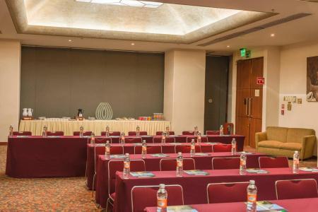 Holiday Inn Guadalajara Select, An Ihg - 17