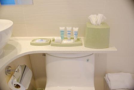 Wyndham Garden Long Island City - 9