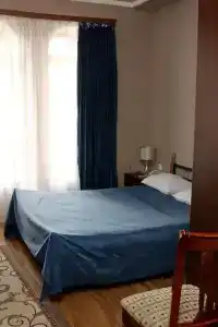 Golden Apricot - 10