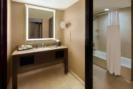 Sheraton Orlando North - 143