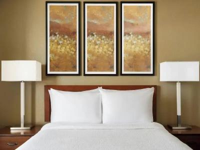 Residence Inn Las Vegas South - 107