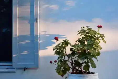 Mykonos Town Suites - 34