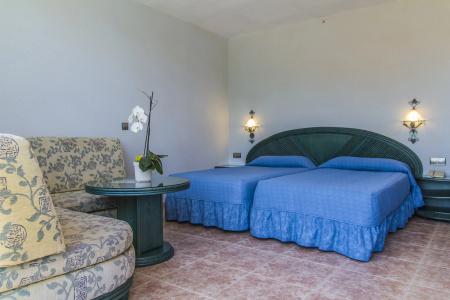 Kaktus Albir - 2