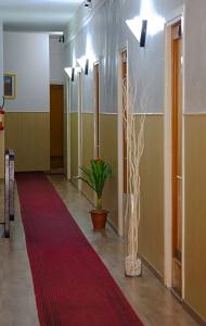 Riviera Sanremo - 16