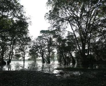 Kaveri Ayurveda Resort - 11