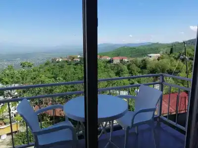 Guest House Alazani Valley - 9