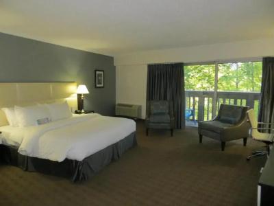 Toronto Don Valley and Suites - 87