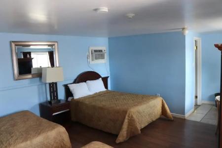 Falcon Inn - 96